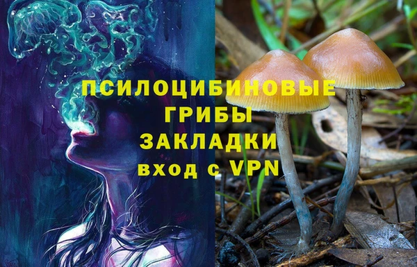 ешки Алзамай