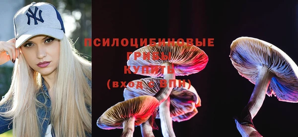 героин Алексин